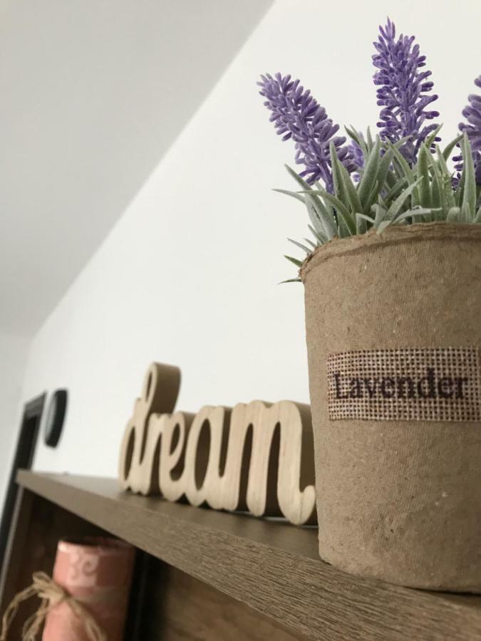 Grocka Apartmani Exteriér fotografie